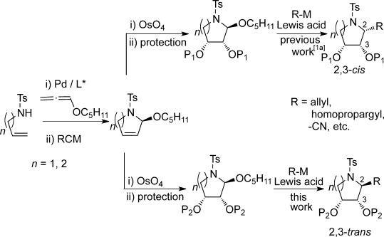 msch001 (1)